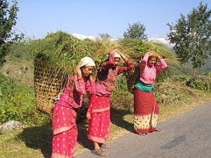 Donne nepalesi trasportano grandi cesti in bambù chiamati doko, sostenuti dal namlo, lungo un sentiero di montagna in Nepal.