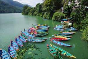 Barche tradizionali colorate ormeggiate sul Lago Phewa a Pokhara, con le colline verdi del Nepal sullo sfondo.