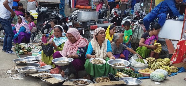 L’India nascosta del nord est L’India nascosta del nord est