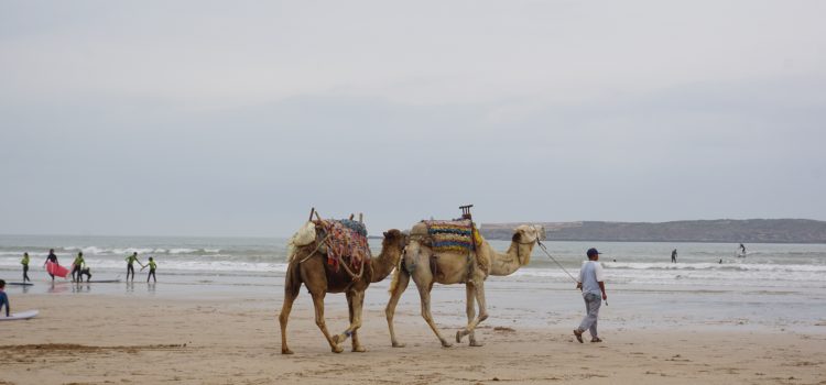 Il Marocco!