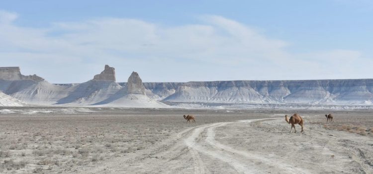 attraversando il deserto più sorprendente del Kazakistan