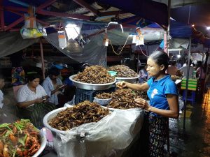 Bancarella di insetti fritti nel mercato serale di Yangon